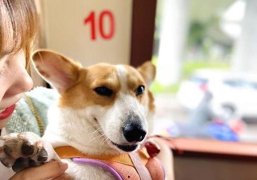 2023娱乐吃瓜爆料,揭秘年度最热吃瓜爆料